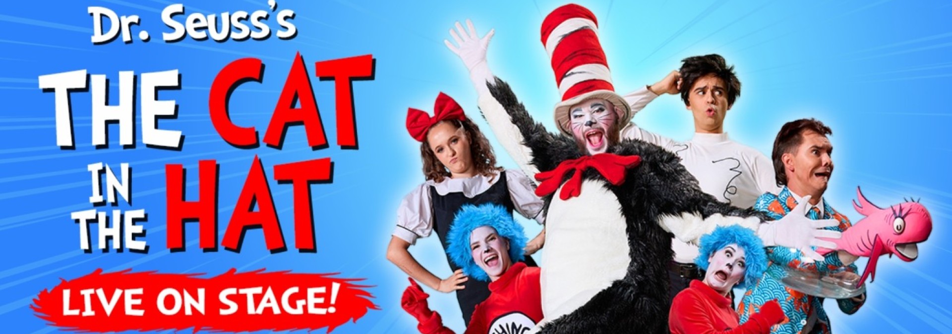 Cat in the Hat Web Banner