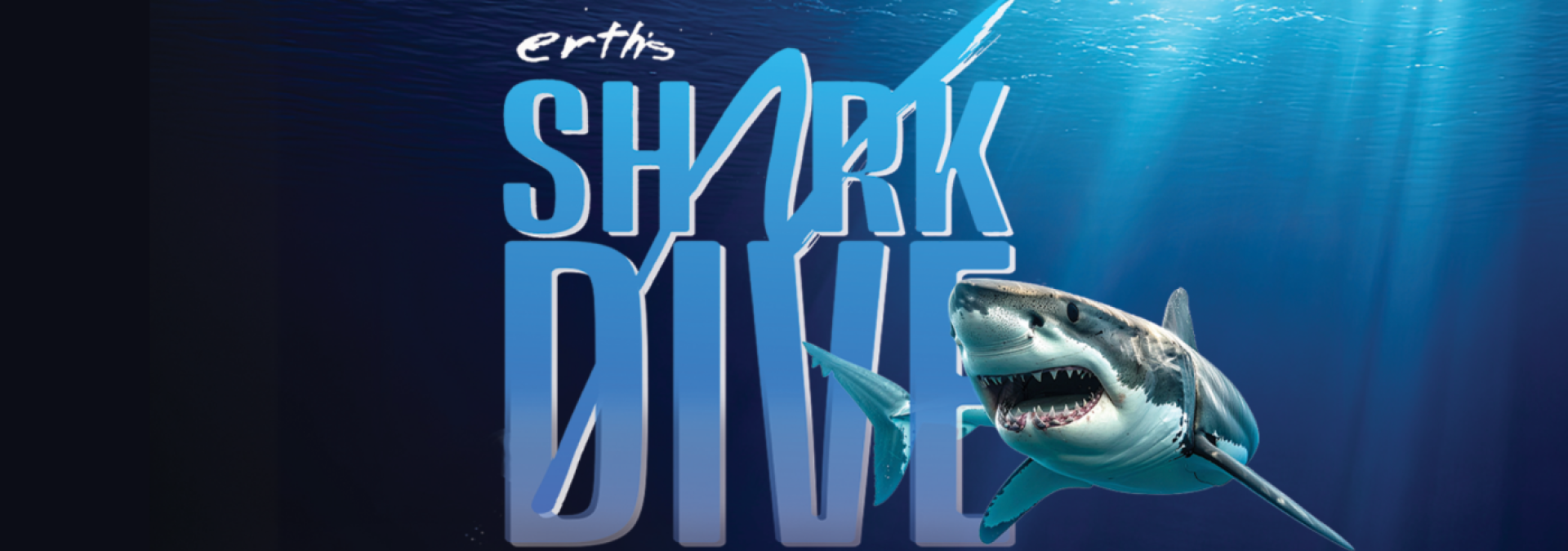 Shark Dive Web Banner