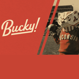 Bucky Web Preview